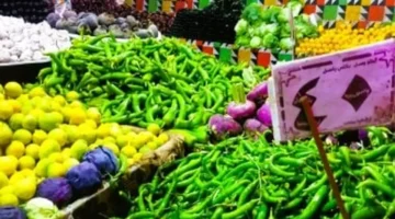 أسعار الخضروات في أسواق مطروح اليوم الخميس 23-10-2025 وأثرها على ميزانية المستهلكين